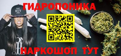 гашик Заволжье