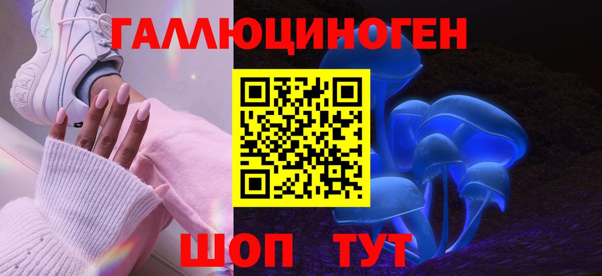 Бузулук  наркотики  Вход с VPN  Псилоцибиновые грибы GOLDEN TEACHER 